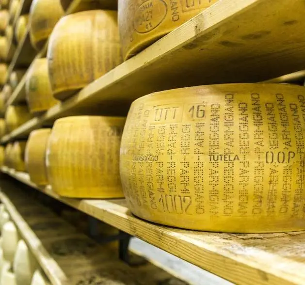 Wheels of Parmigiano Reggiano ageing on wooden shelves